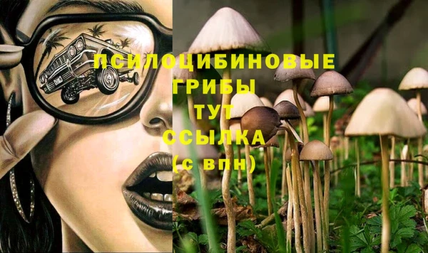 a pvp Вяземский