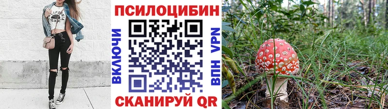 Купить где  Новосокольники  Псилоцибиновые грибы прущие грибы 